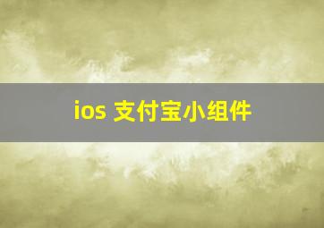 ios 支付宝小组件